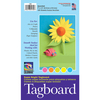 Pacon Super Bright Assorted Tagboard, 5 Colors, 9" x 12", PK100 P1709